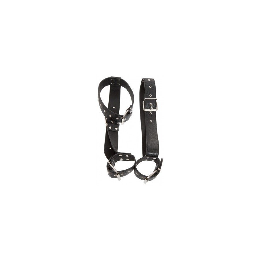 Neck and Hand Restraints - 2