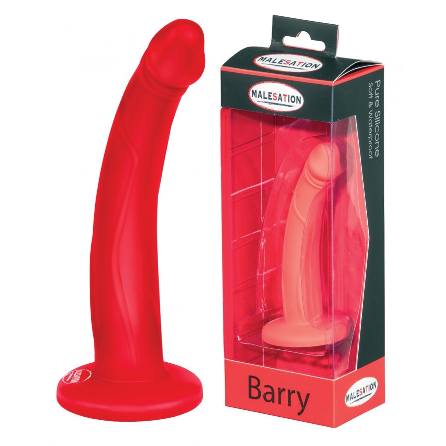 MALESATION Barry Dildo rot - 1